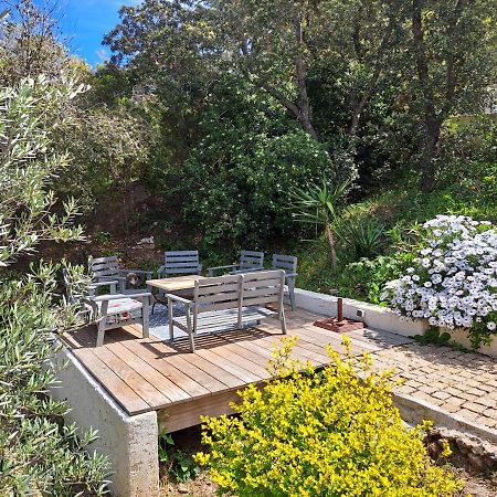 Villa K Presqu Ile De Giens Hyères Eksteriør billede