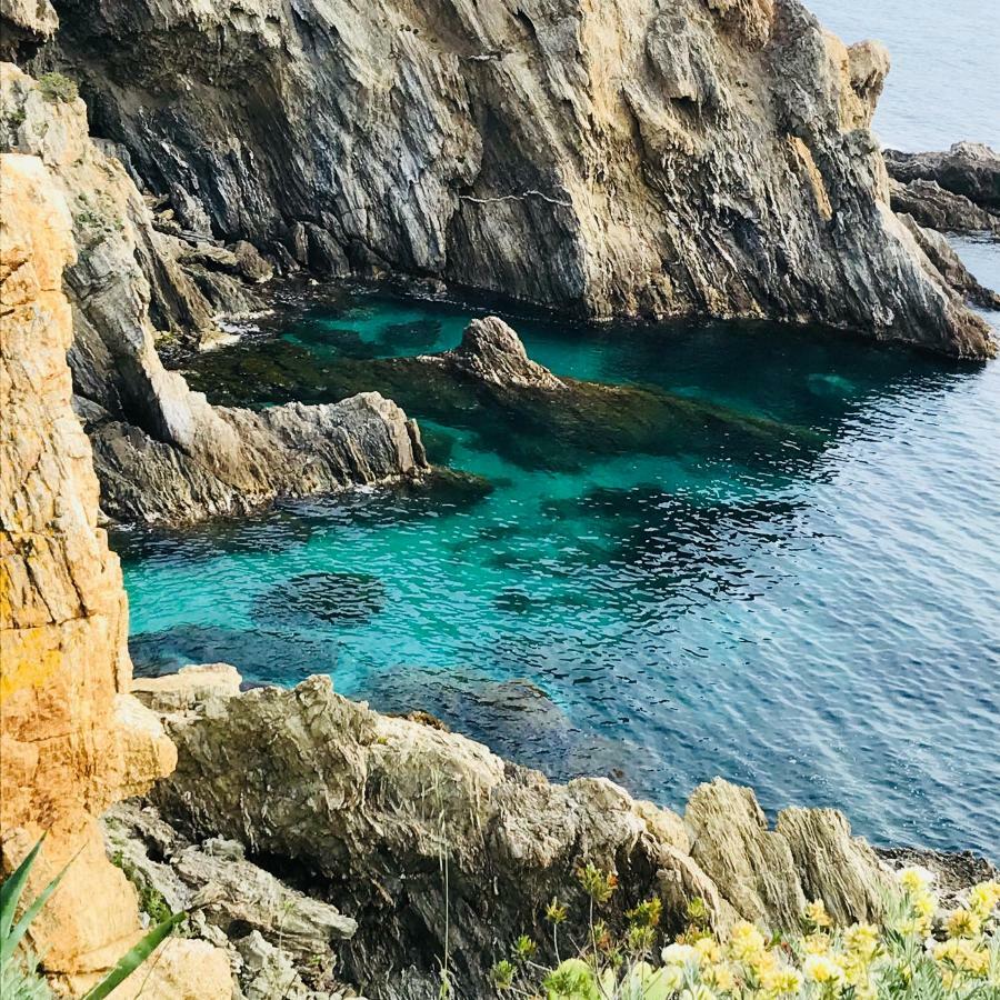 Villa K Presqu Ile De Giens Hyères Eksteriør billede